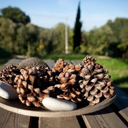 Casa Dell'Orto Pension San Vito Chietino Buitenkant foto