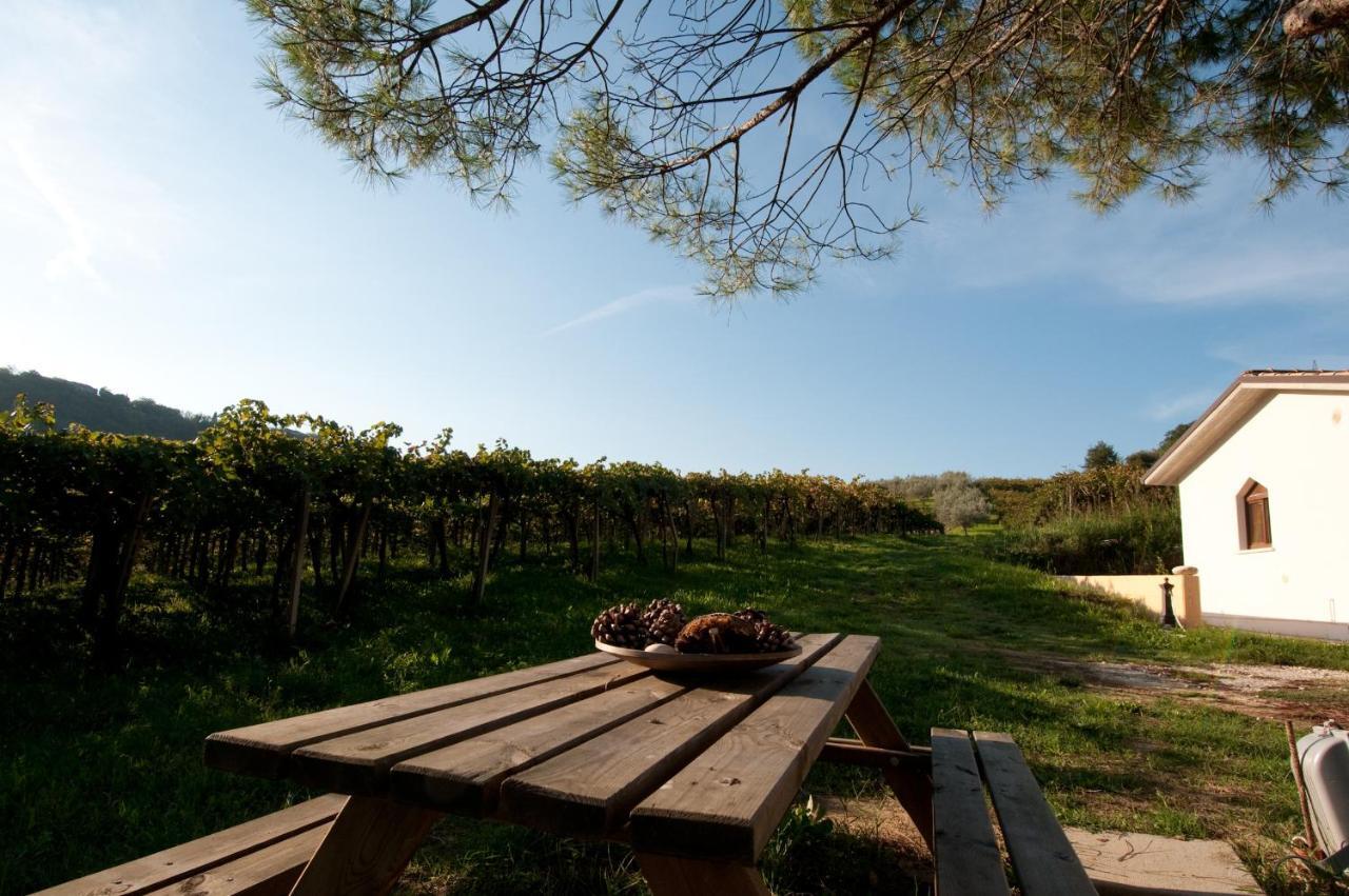 Casa Dell'Orto Pension San Vito Chietino Buitenkant foto