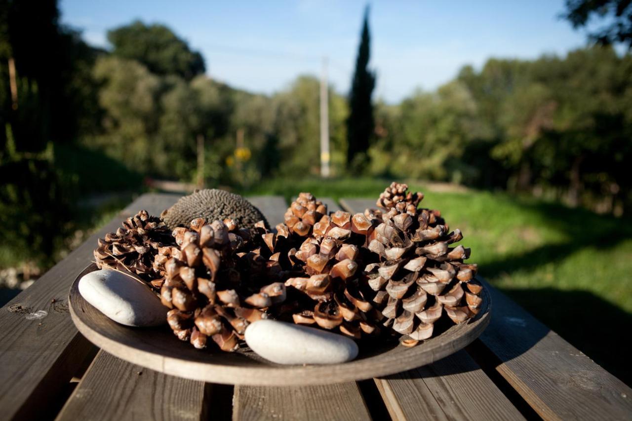 Casa Dell'Orto Pension San Vito Chietino Buitenkant foto